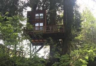Humboldt Treehouse