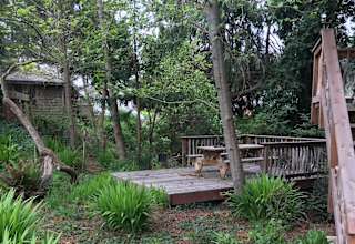 13th St Tree House