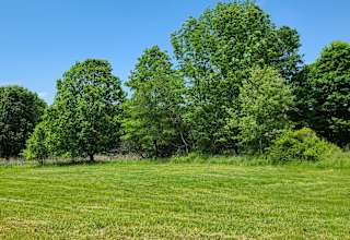 Campsites at Stonewall