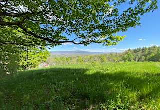 Timbertrail Farm