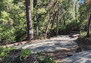 Forested creekside campsite
