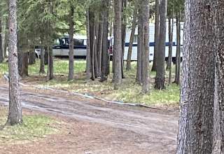 Elk Park Pines RV Campsites