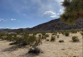 Mojave Hill