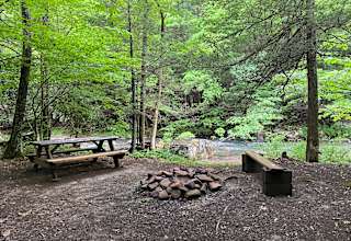 Abrams Creek Campground/Retreat