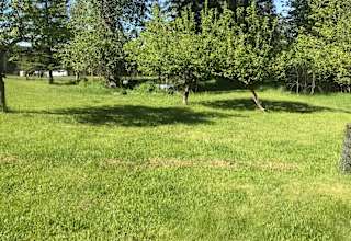 Bearcat acres