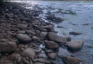The River Life