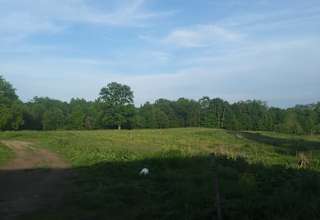David S.’s Land