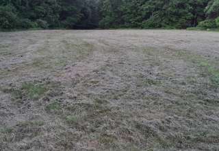 Old hay field