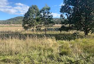 Little River Camp