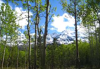 The Raven's Den of the Chugach