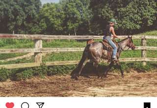 Millbrook Trail Rides