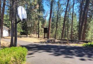 Pine Forest RV Retreat