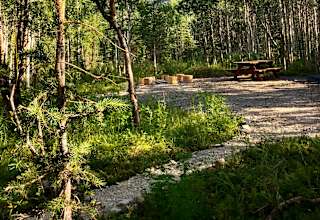 The Raven's Den of the Chugach