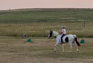 Branded 5 Stable & Kennel LLC