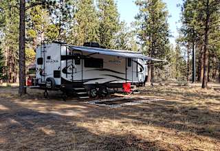 Trout Pines Camping
