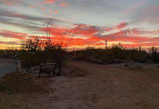 Saguaro national monument west