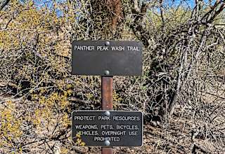 Saguaro national monument west