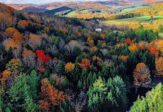 Wooded Farm Land