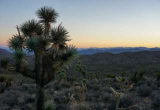 Desert Solitude with Mountain Views