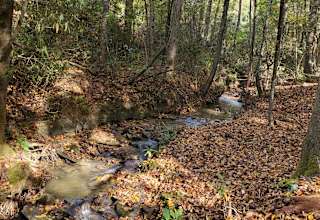 Creekside Camper & Tent Site Rental