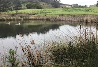 South Preston Dam Camp