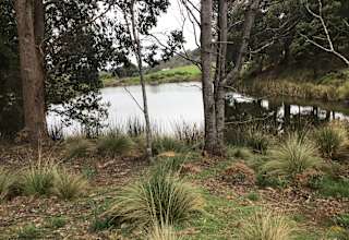 South Preston Dam Camp
