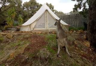 Glamping in the Macedon Ranges 