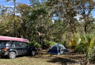 Mossy Beach Oaks Quiet Campsite