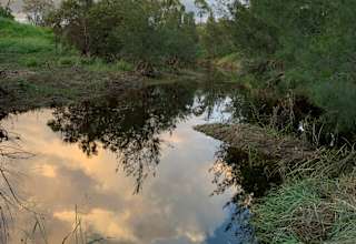 Emu Creek Campsites