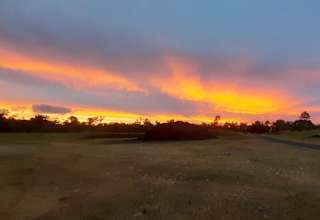 Carlton Farm, Hervey Bay