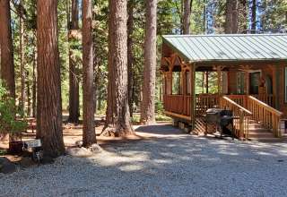 Peter's Forest Vacation Rentals