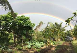 Kaimu Land of Rainbows