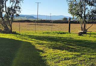 Websters Farm