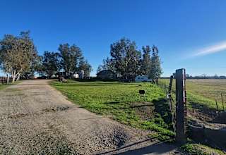 Websters Farm
