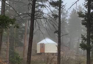 Sunrise Forest Campsite & Yurt