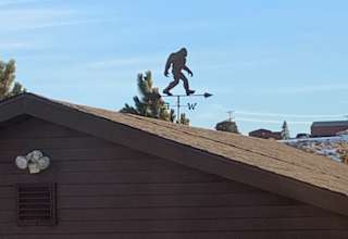 Sasquatch Sanctuary
