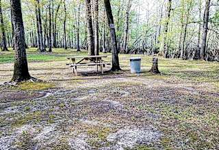 Black River Camping Ventures