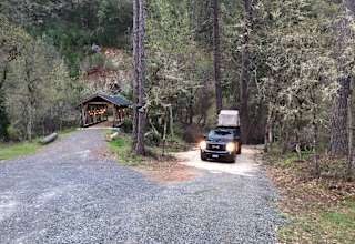 Forested creekside campsite