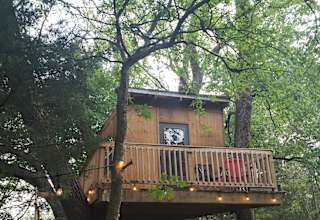 Treehouse on the Creek