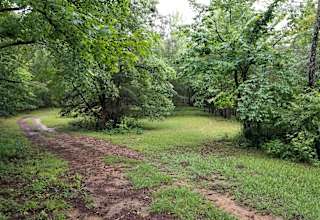 Bluegill Hill