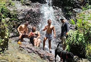Rainforest Campground & Glamping