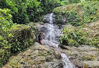 Rainforest Campground & Glamping