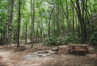 Creekside Camper & Tent Site Rental