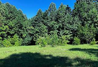 Love Shack Meadow