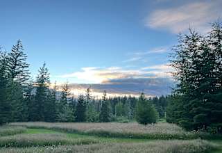 Pleasant Places