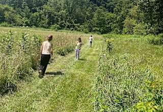 Driftless Haven 125 Acres & Creek