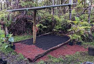Treehouse Green Farm and Garden