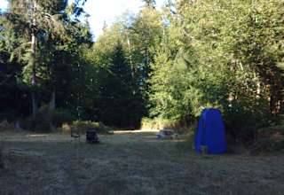 Owl Glade