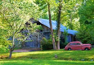 The Fork Inn Nature Retreat