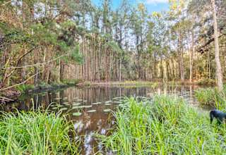 Bird Haven Retreat